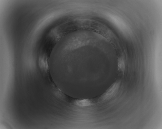 X0000102530431200808151559