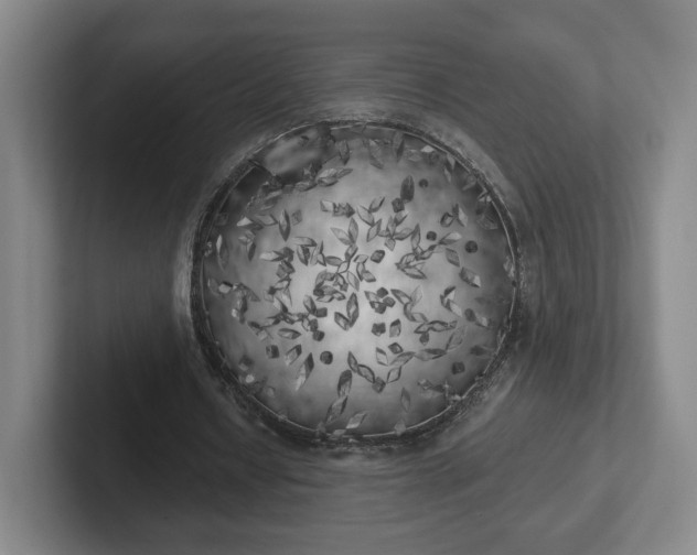 X0000102530434200808151559