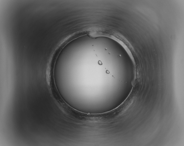 X0000102530436200808151559