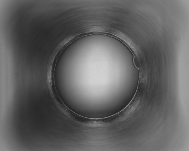 X0000102530437200808151559