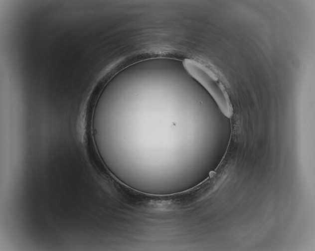 X0000102530440200808151559