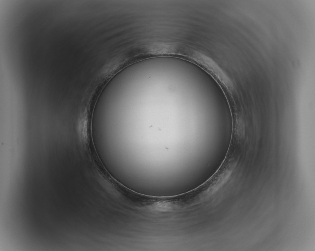 X0000102530441200808151559