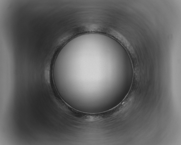 X0000102530442200808151559