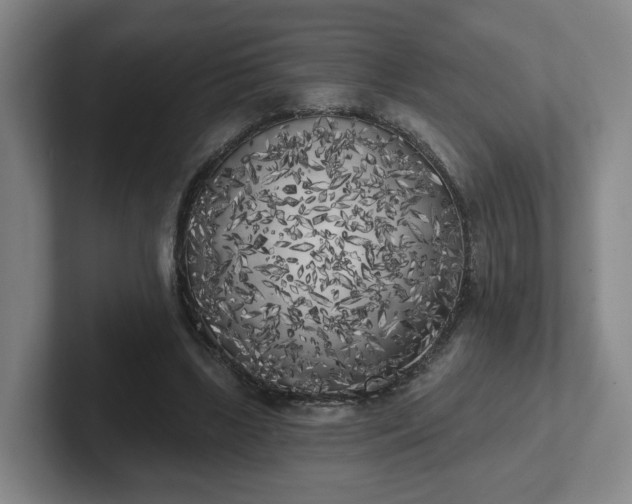 X0000102530443200808151559