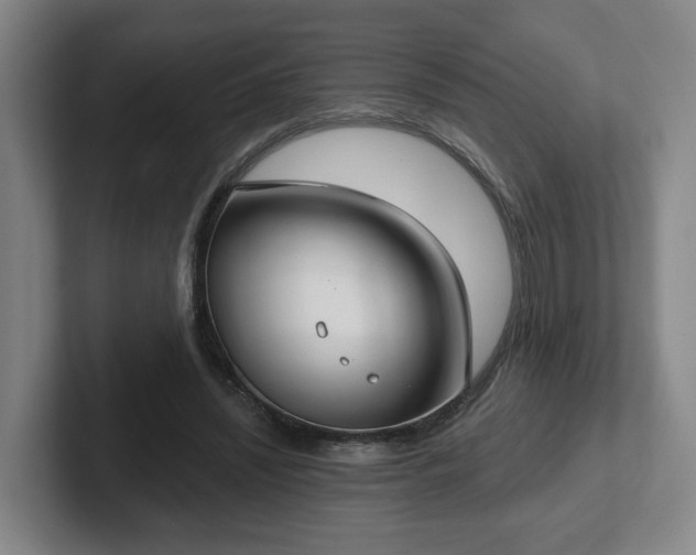 X0000102530444200808151559