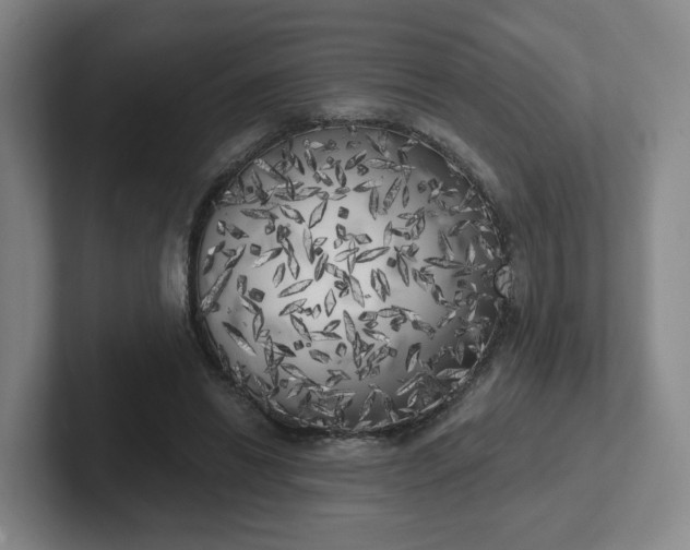 X0000102530446200808151559
