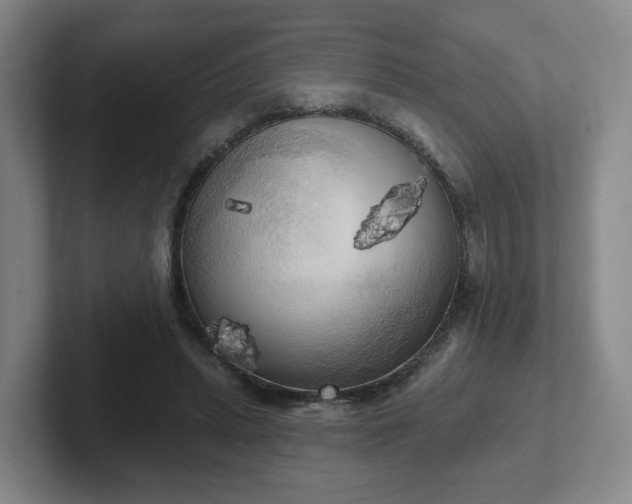 X0000102530447200808151559