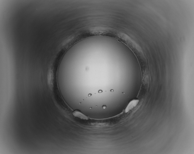 X0000102530448200808151559