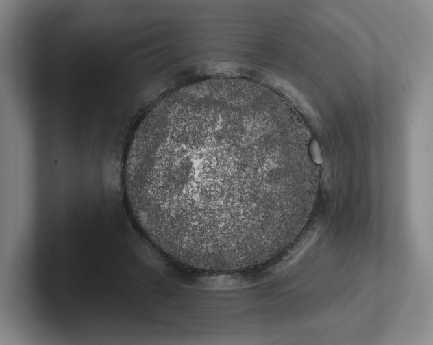 X0000102530449200808151559