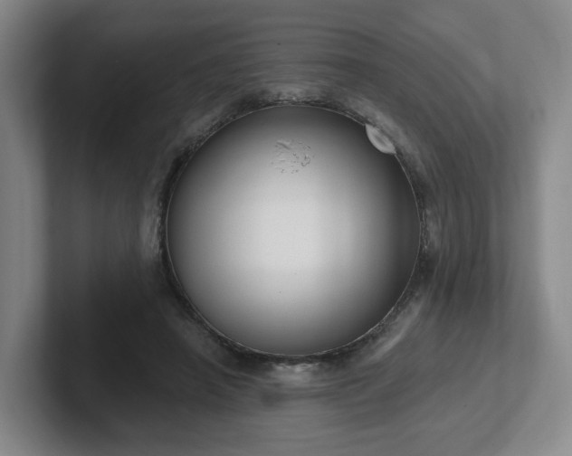 X0000102530450200808151559