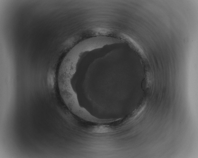 X0000102530451200808151559