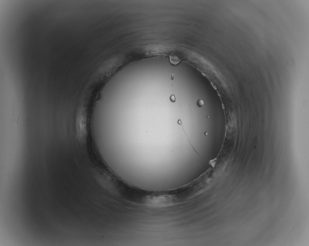 X0000102530452200808151559