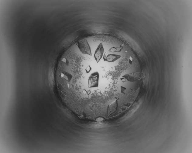 X0000102530453200808151559