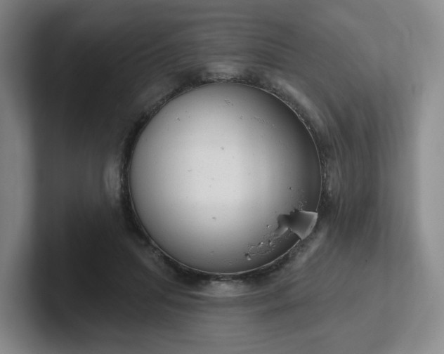 X0000102530455200808151559