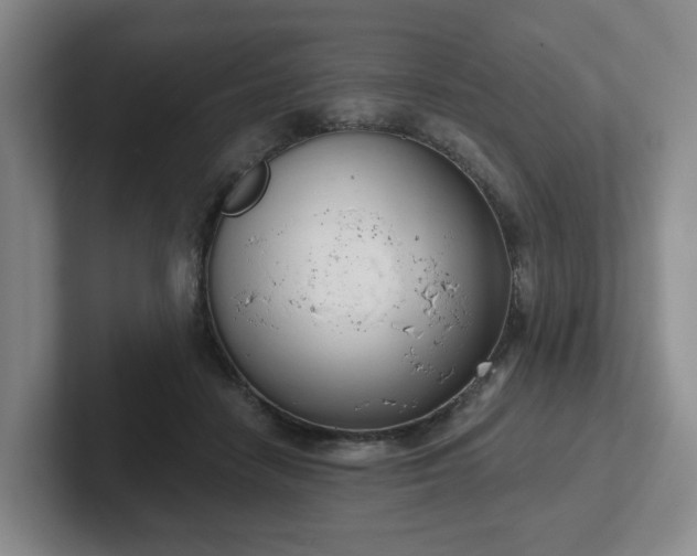 X0000102530458200808151559