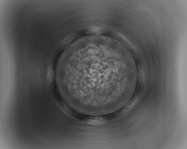 X0000102530459200808151559