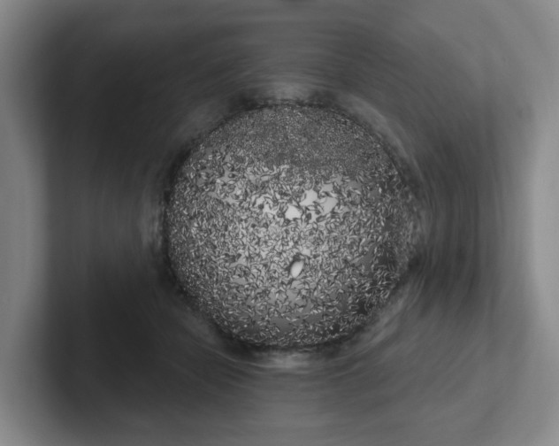 X0000102530462200808151559