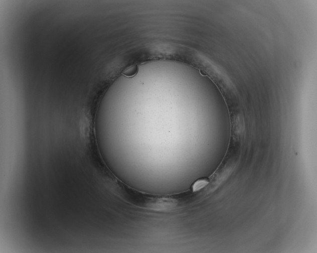 X0000102530463200808151559