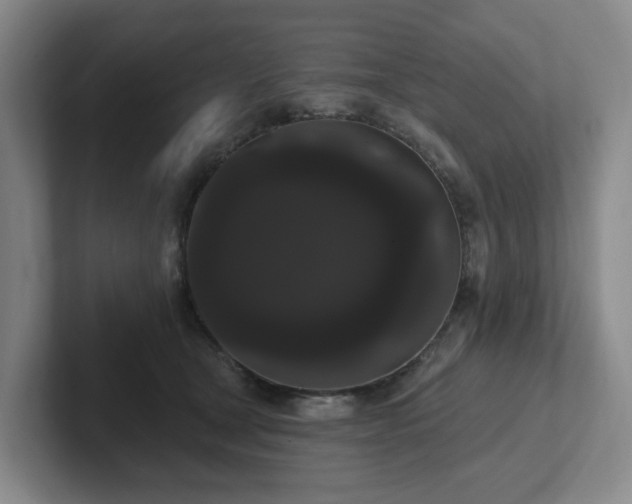 X0000102530465200808151559