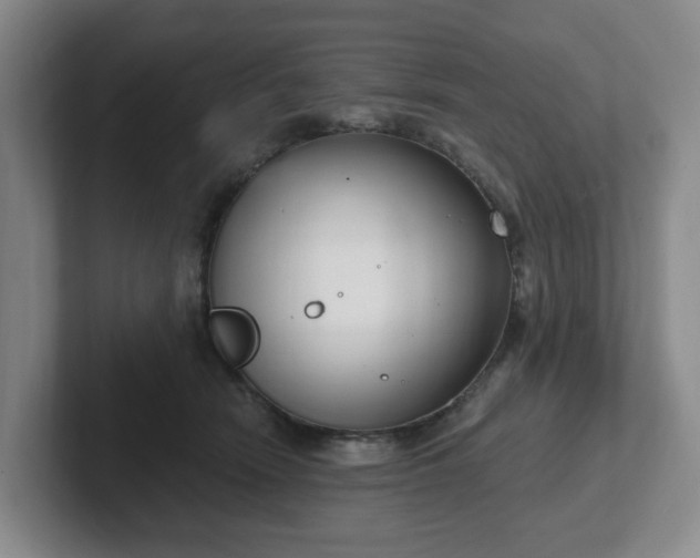 X0000102530466200808151559