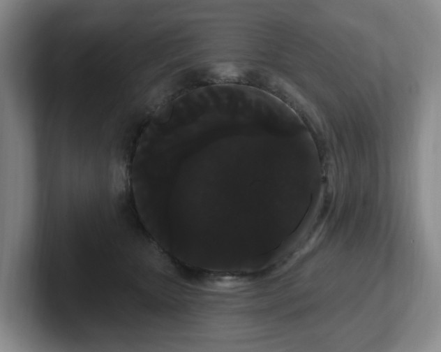 X0000102530467200808151559