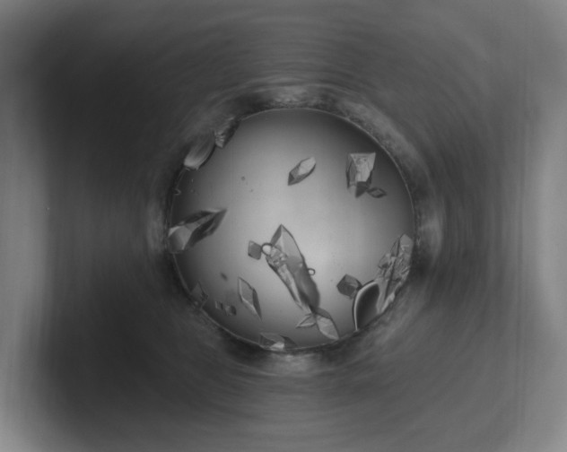 X0000102530469200808151559