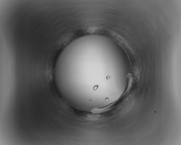 X0000102530470200808151559