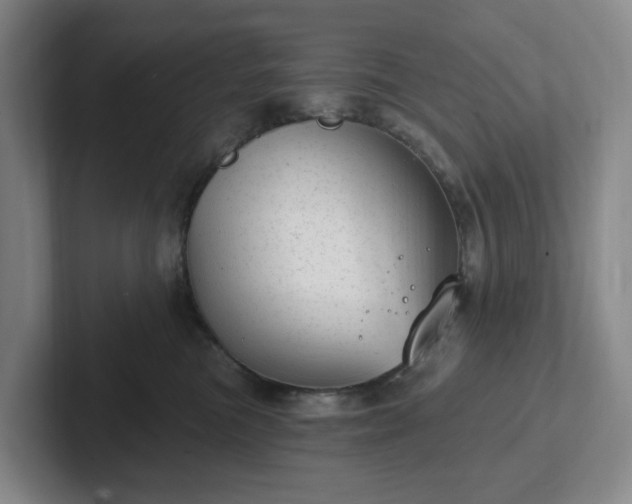 X0000102530473200808151559