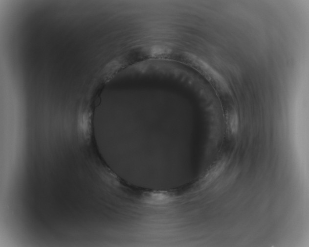 X0000102530475200808151559