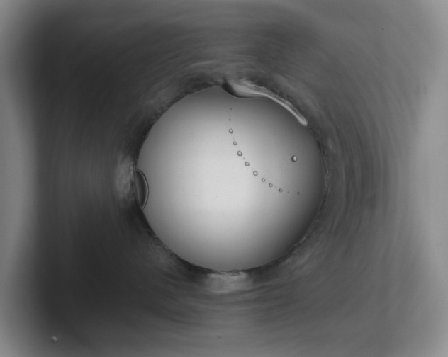 X0000102530480200808151559