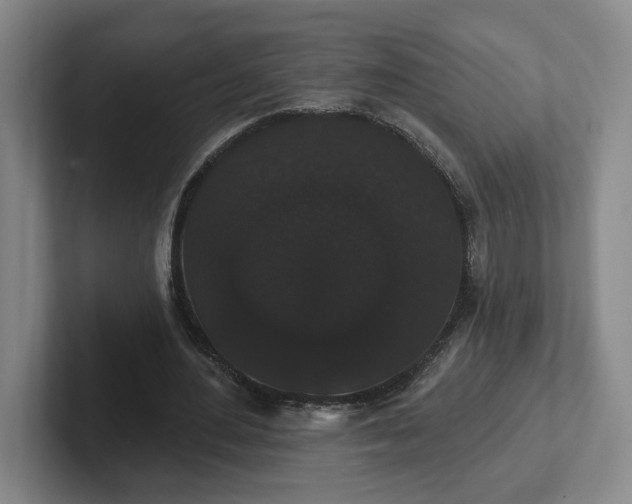 X0000102530484200808151559