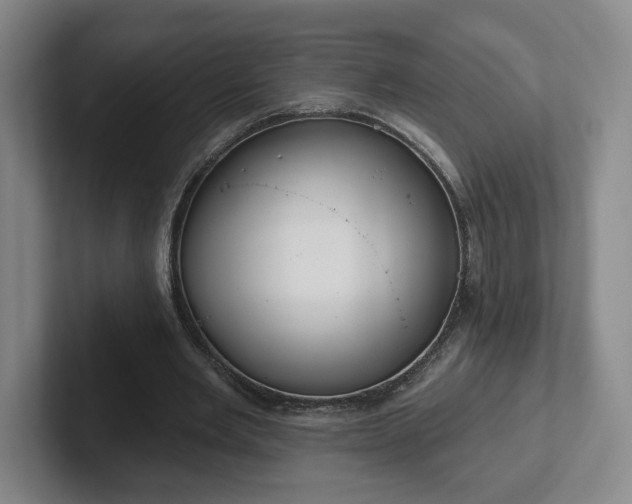 X0000102530485200808151559