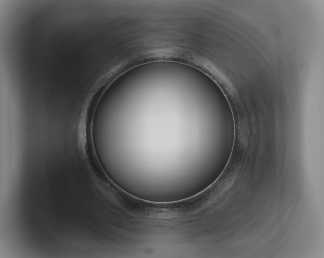 X0000102530486200808151559