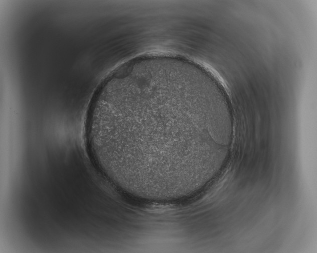 X0000102530487200808151559