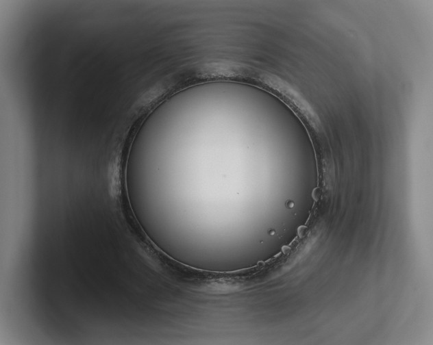 X0000102530489200808151559