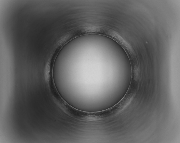 X0000102530490200808151559