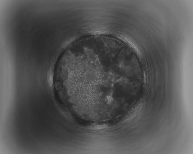 X0000102530491200808151559