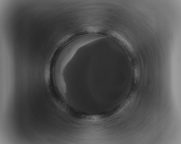 X0000102530492200808151559