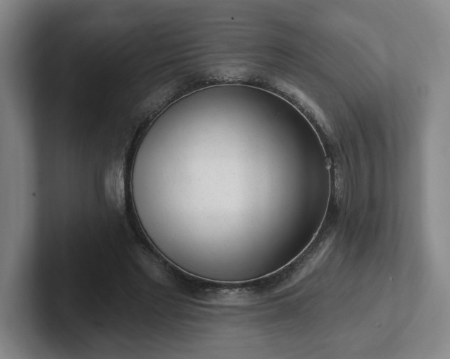 X0000102530493200808151558