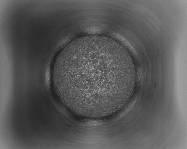 X0000102530494200808151558