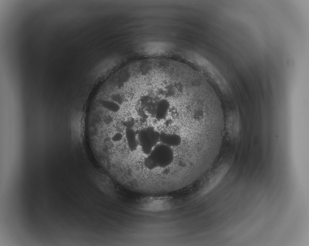 X0000102530495200808151558