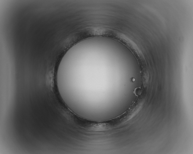 X0000102530497200808151558