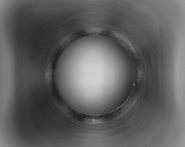 X0000102530498200808151558