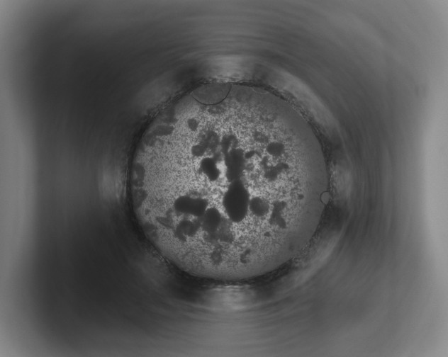 X0000102530499200808151558