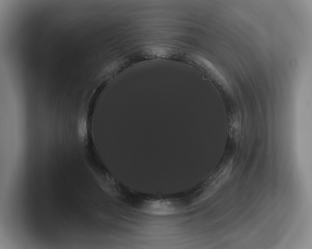 X0000102530500200808151558