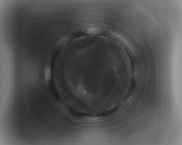 X0000102530502200808151558