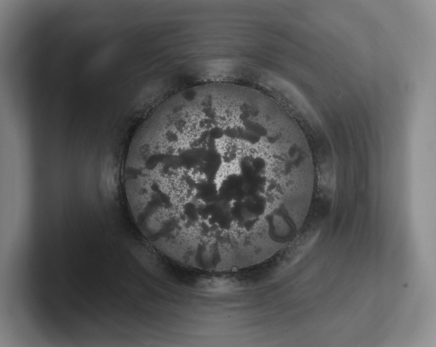 X0000102530503200808151558