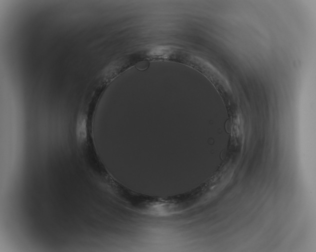 X0000102530504200808151558