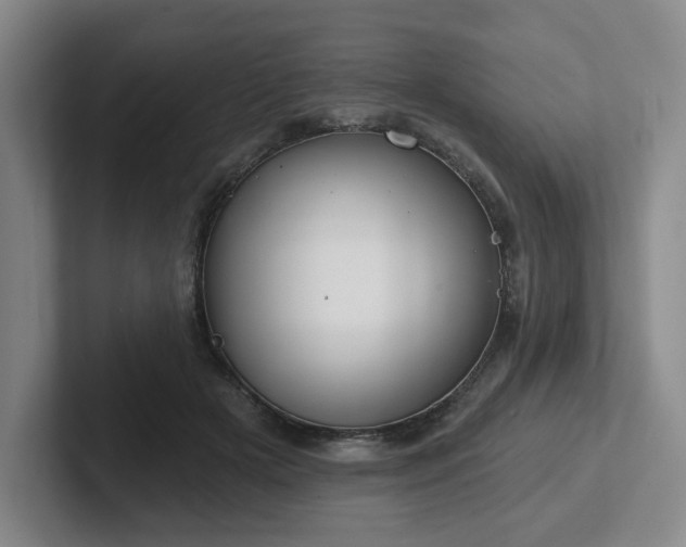 X0000102530505200808151558