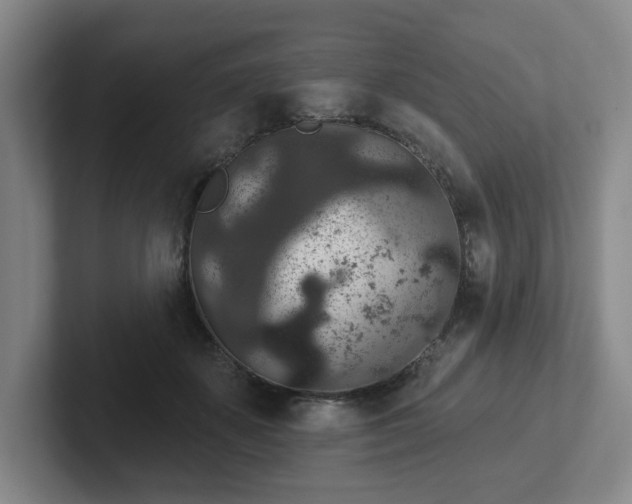 X0000102530507200808151558